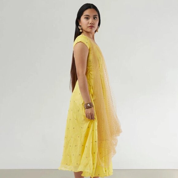 Yellow Banarasi Georgette Dress with Net Dupatta | Muvvas Boutique - Picture 3 of 5